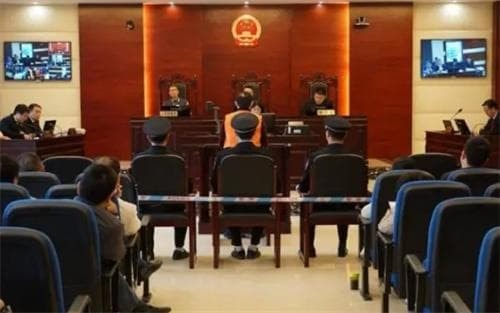 Mẹ vợ và con rể làm ra hành vi tội lỗi, bà lại nói đó là hy sinh vì con gái, cái kết khiến nhiều người phải rùng mình 11