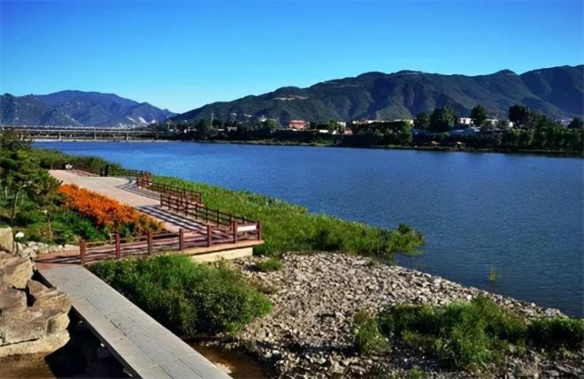 Mẹ vợ và con rể làm ra hành vi tội lỗi, bà lại nói đó là hy sinh vì con gái, cái kết khiến nhiều người phải rùng mình 3