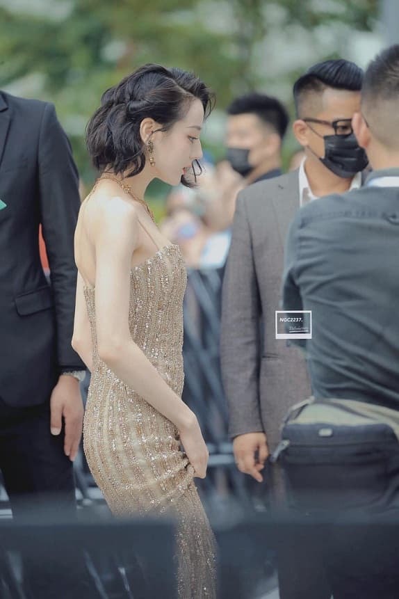 'Mỹ nữ Tân Cương' Địch Lệ Nhiệt Ba khoe vẻ đẹp nữ thần trên thảm đỏ, nhan sắc thế nào mà được so sánh với Phạm Băng Băng? 7