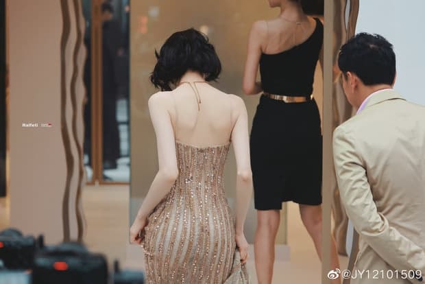 'Mỹ nữ Tân Cương' Địch Lệ Nhiệt Ba khoe vẻ đẹp nữ thần trên thảm đỏ, nhan sắc thế nào mà được so sánh với Phạm Băng Băng? 13