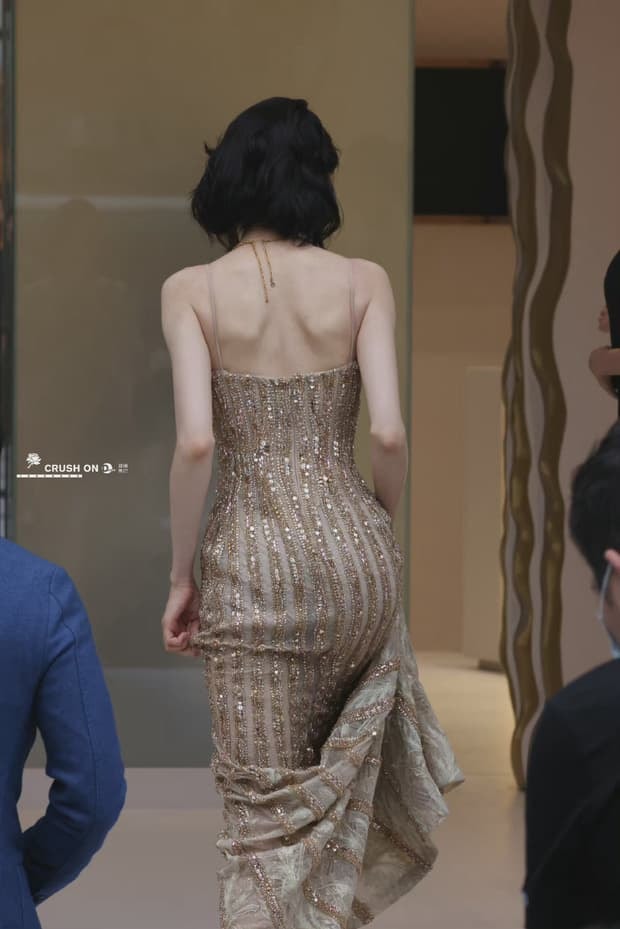 'Mỹ nữ Tân Cương' Địch Lệ Nhiệt Ba khoe vẻ đẹp nữ thần trên thảm đỏ, nhan sắc thế nào mà được so sánh với Phạm Băng Băng? 12