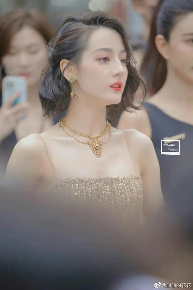 'Mỹ nữ Tân Cương' Địch Lệ Nhiệt Ba khoe vẻ đẹp nữ thần trên thảm đỏ, nhan sắc thế nào mà được so sánh với Phạm Băng Băng? 11