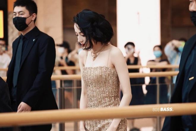 'Mỹ nữ Tân Cương' Địch Lệ Nhiệt Ba khoe vẻ đẹp nữ thần trên thảm đỏ, nhan sắc thế nào mà được so sánh với Phạm Băng Băng? 5