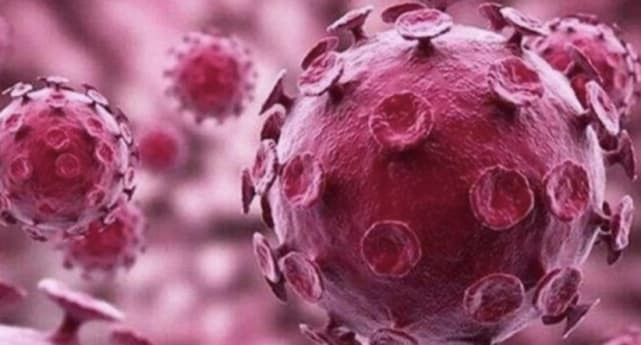 nhiem-hpv (1).jpeg 3