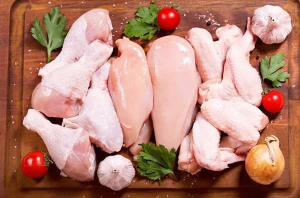 phao câu là bộ phận nhiều độc tố nhất của con gà 0