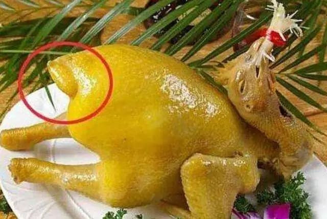 phao câu là bộ phận nhiều độc tố nhất của con gà 1