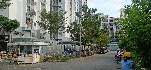 bai-w500-h232.jpg