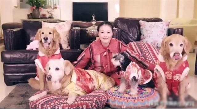 châu hải my 8