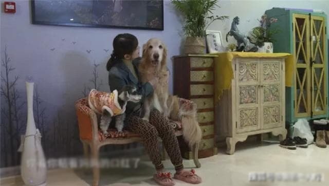 châu hải my 7