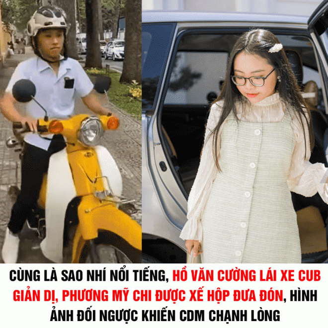 254544304_624693965370255_4802960020525771933_n-ngoisaovn-w900-h900 0