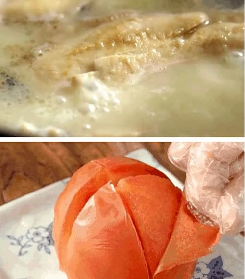 ca-sot-ca-chua-(8).jpg 0