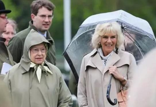 Mỹ nhân Hoàng gia dưới mưa: Meghan che ô cho Harry, William và Kate đẹp như tranh vẽ, Công nương Diana đơn độc nhưng luôn tỏa sáng  5