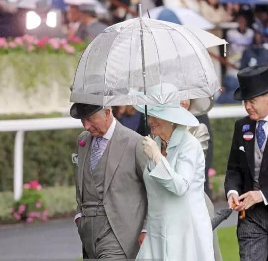 Mỹ nhân Hoàng gia dưới mưa: Meghan che ô cho Harry, William và Kate đẹp như tranh vẽ, Công nương Diana đơn độc nhưng luôn tỏa sáng  6