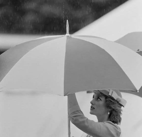 Mỹ nhân Hoàng gia dưới mưa: Meghan che ô cho Harry, William và Kate đẹp như tranh vẽ, Công nương Diana đơn độc nhưng luôn tỏa sáng  10