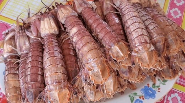 bề bề 2