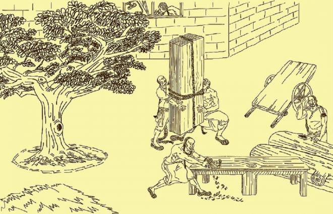 Gỗ sử dụng trong Tử Cấm Thành 1 Gỗ sử dụng trong Tử Cấm Thành 1