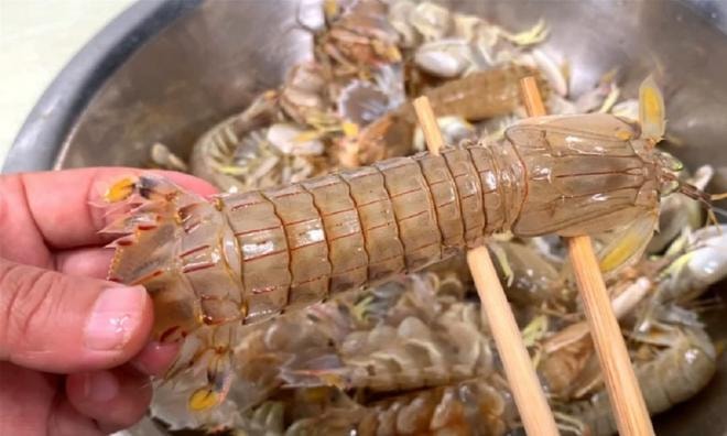 bề bề 8
