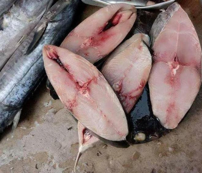 cách chọn mua cá thu tươi ngon 4 cách chọn mua cá thu tươi ngon 4