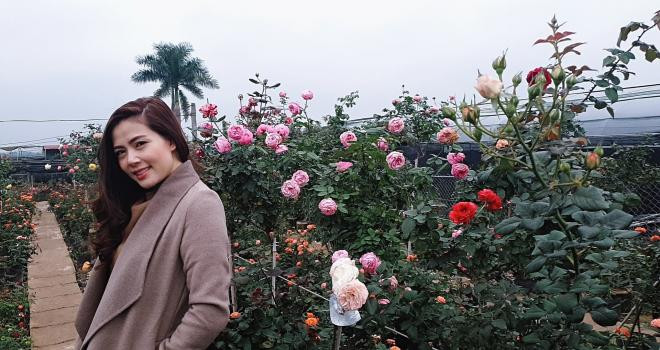 nhan sắc ngọc hiền 1 nhan sắc ngọc hiền 1