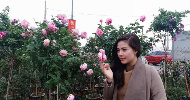 nhan sắc ngọc hiền 2 nhan sắc ngọc hiền 2
