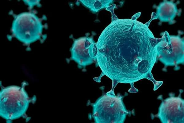 nhiem-hpv (1).jpeg 2