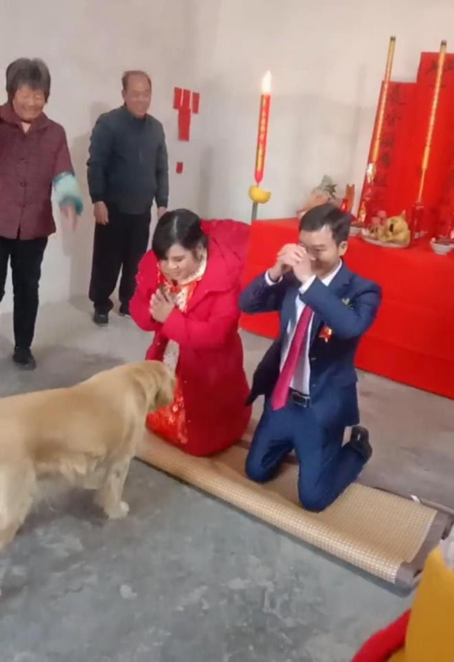 2-hinh-anh-hai-huoc-ngoisaovn-w1080-h1574 0 2-hinh-anh-hai-huoc-ngoisaovn-w1080-h1574 0