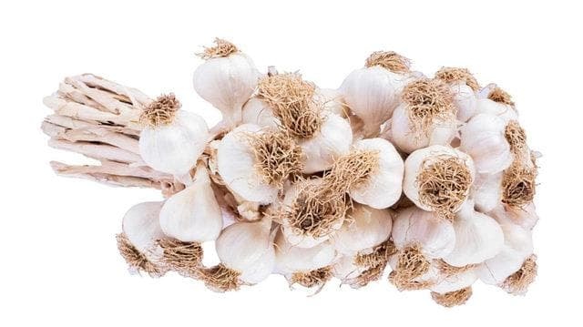 dưa chuột muối 2