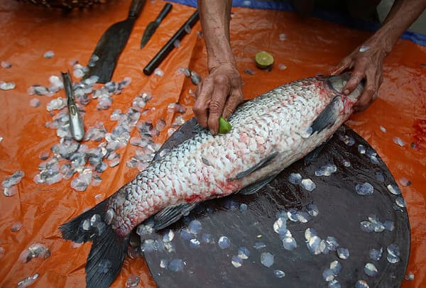 cá kho không nước  0