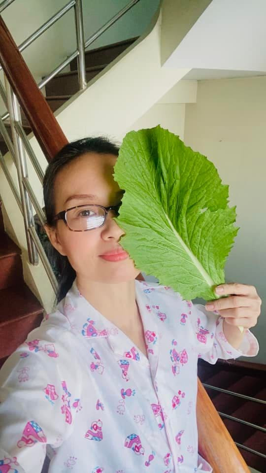 Cẩm Ly qua đời  2
