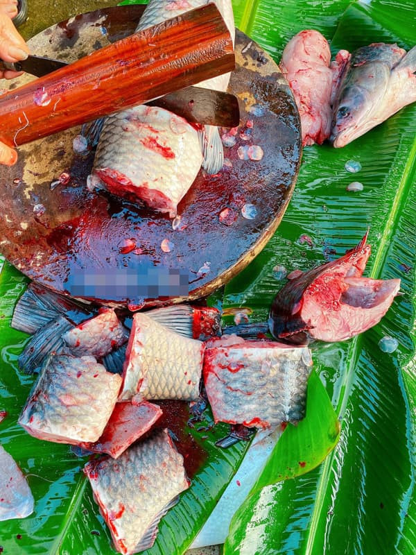 cá kho làng vũ đại 0 cá kho làng vũ đại 0