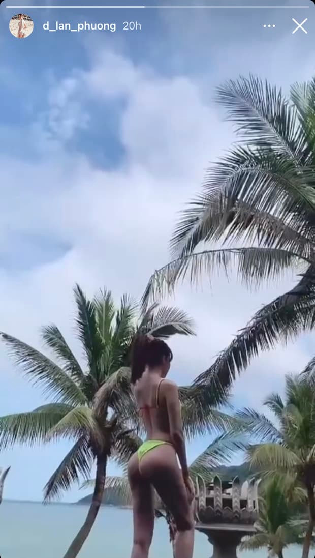 con dâu hoàng kiều  0