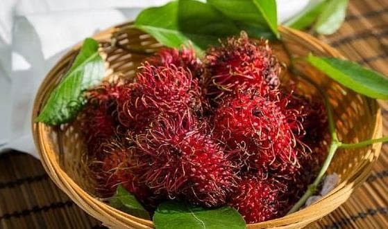 4-cach-an-chom-chom-dung-cach-ngoisaovn-w559-h331 0