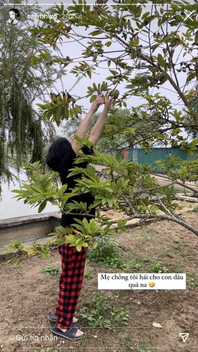 mẹ chồng Salim 0