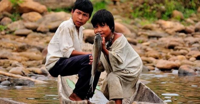bộ tộc Tsimane 5