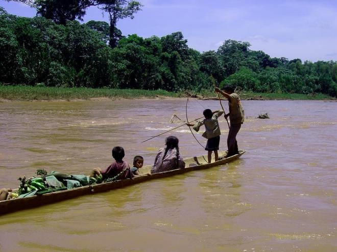 bộ tộc Tsimane 3