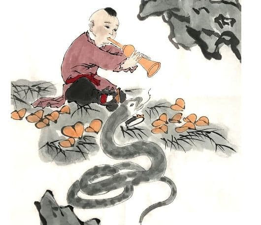 2-con-giap-may-man-tuan-moi-ngoisaovn-w530-h458 1 2-con-giap-may-man-tuan-moi-ngoisaovn-w530-h458 1