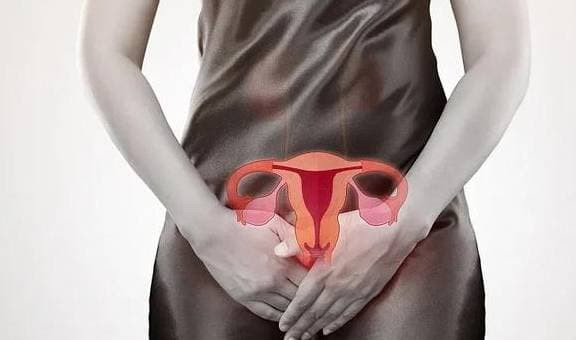 hpv (1).jpeg 0