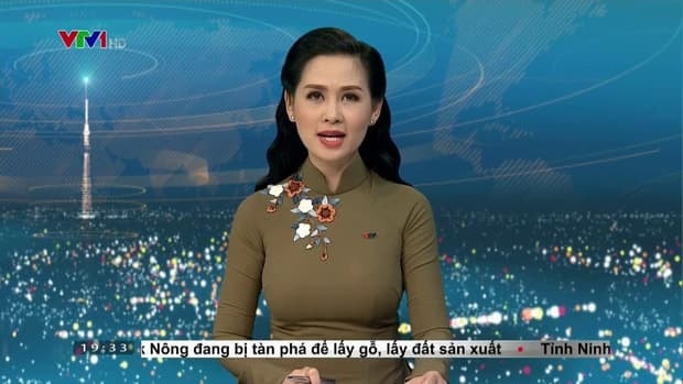 Thêm một MC nói giọng miền Nam lên sóng bản tin Thời sự của VTV, nhan sắc gây bất ngờ 4