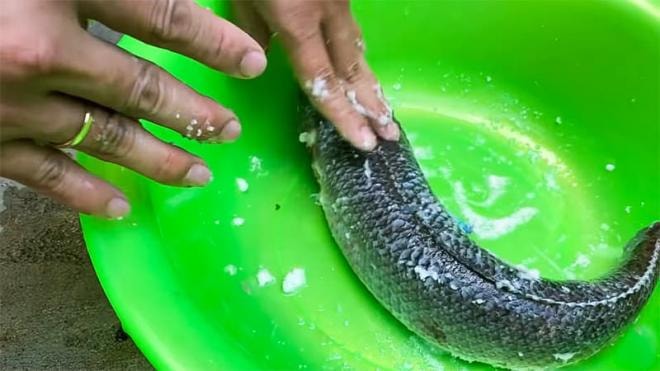cách làm cá lóc hấp bầu  0