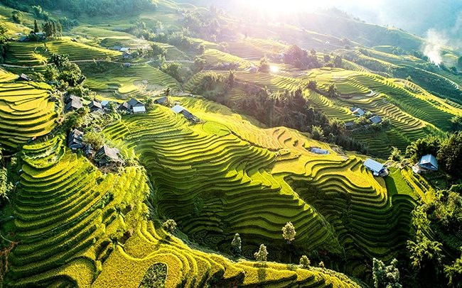 hinh-anh.jpg