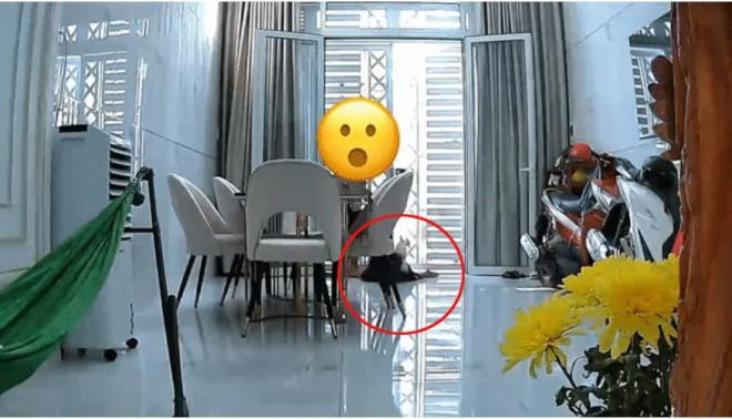 Ngọc Phước bị ngã 0
