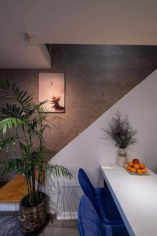 cải tạo nhà cũ 17m2 3