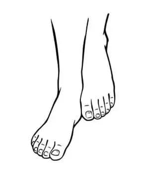 ban-chan (1).jpg 3