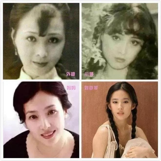 Có một mỹ nhân 'xấu nhất trong gia đình', Lưu Diệc Phi và Trương Dư Hi chưa là gì 0