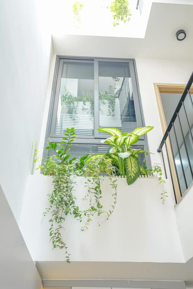 nhà tầng có giếng trời 5 nhà tầng có giếng trời 5