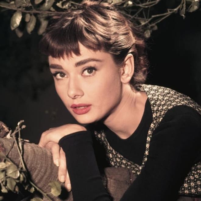 audrey-hepburn-gettyimages-517443052-11355467-ngoisaovn-w720-h720 0