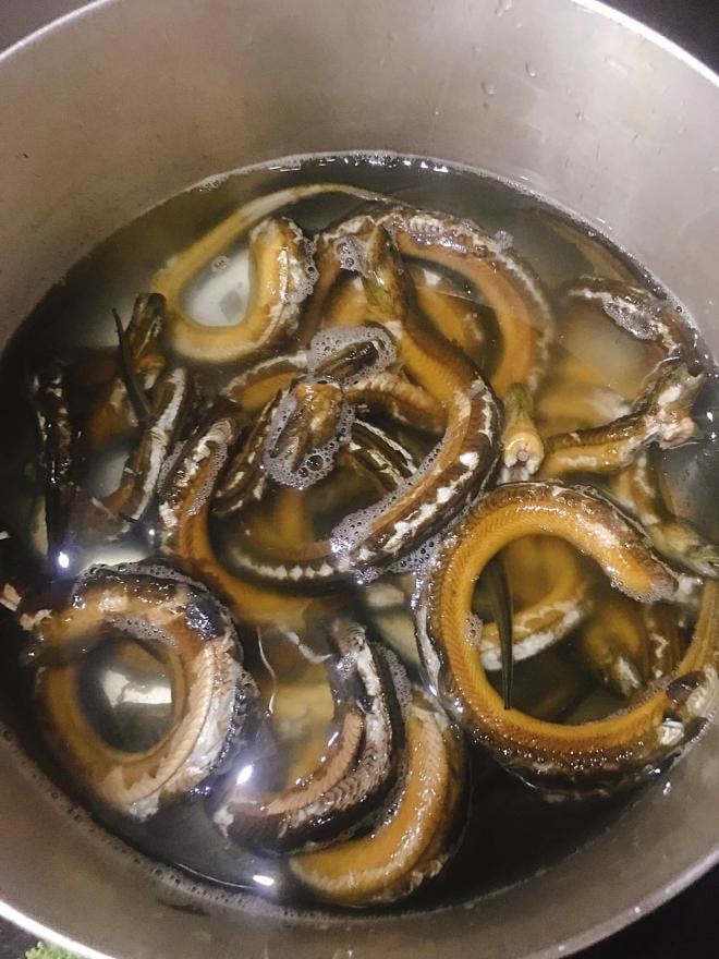 cháo lươn 0