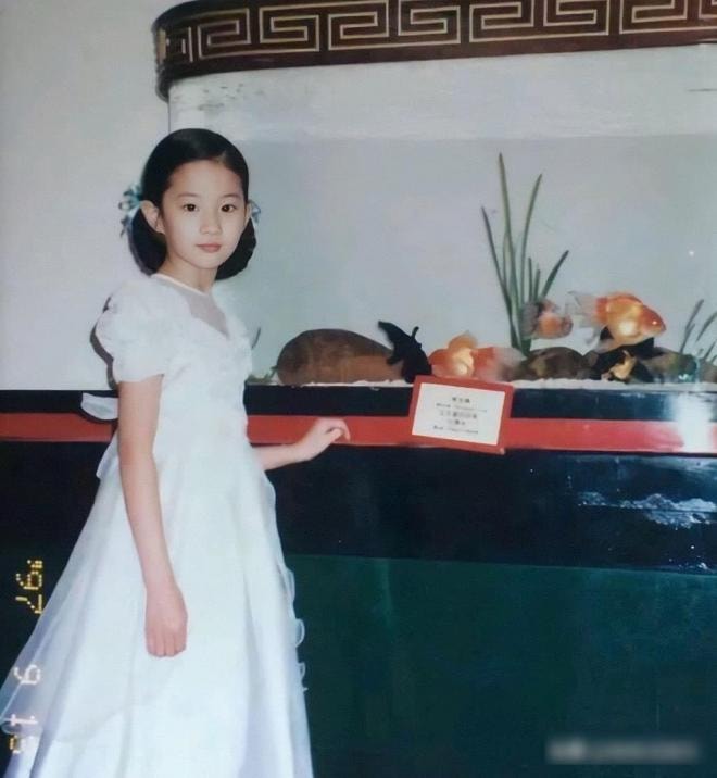Lưu Diệc Phi liệu có phải là 