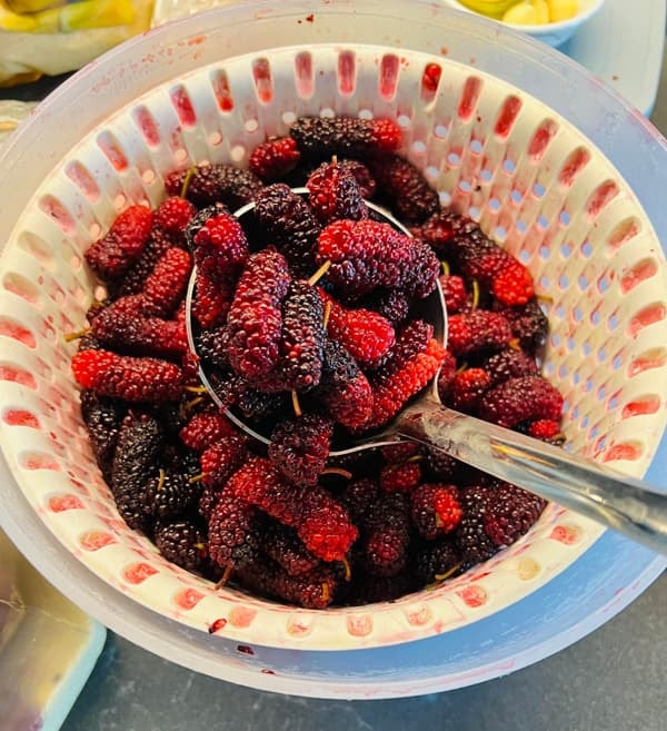 nước dâu tằm ngâm  1