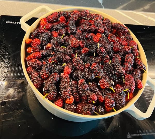 nước dâu tằm ngâm  1